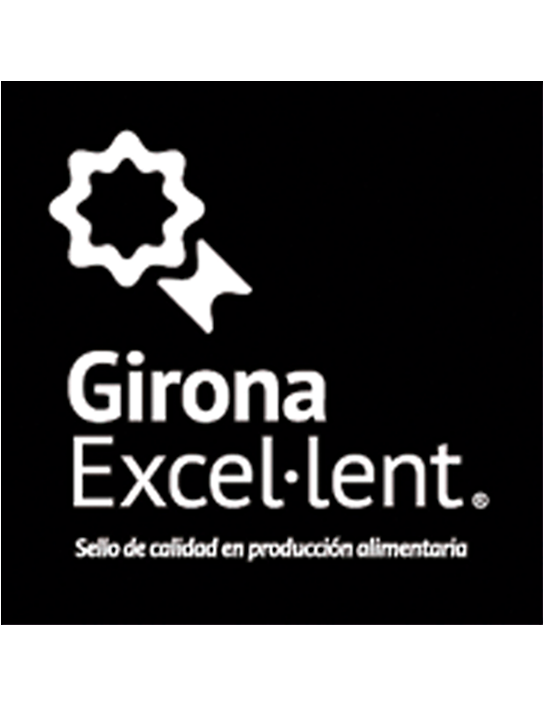 Girona Excel·lent